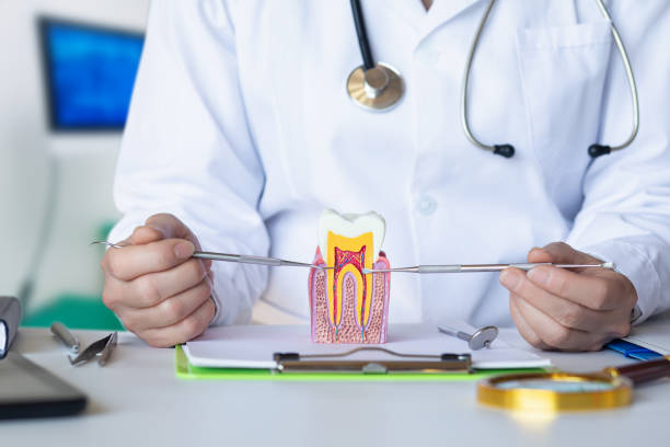 Best Emergency Dental Care for Trauma or Injury in Stockton, KS